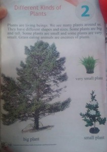 Das sehr wichtige Kapitel, in dem wir lernen, dass es große, kleine, und sehr kleine Pflanzen gibt...