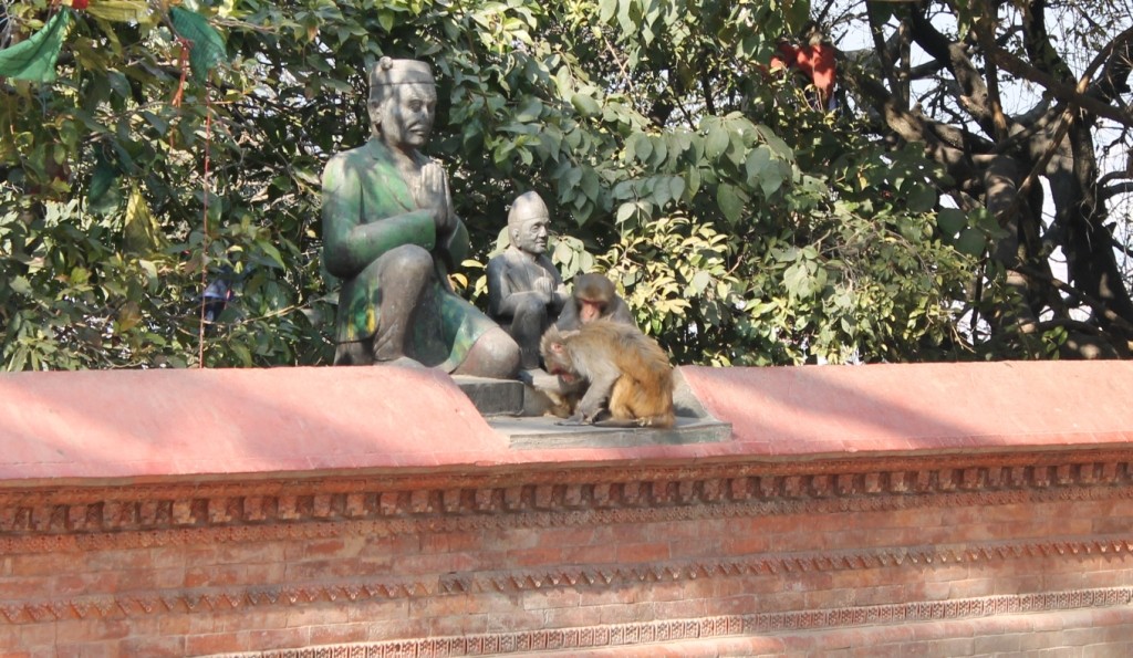 Auch hier haben die Affen alles unter Kontrolle. Wo lässt es sich denn besser lausen als auf dem Schoß der Statue irgendeines ehrwürdigen alten Nepalesens?