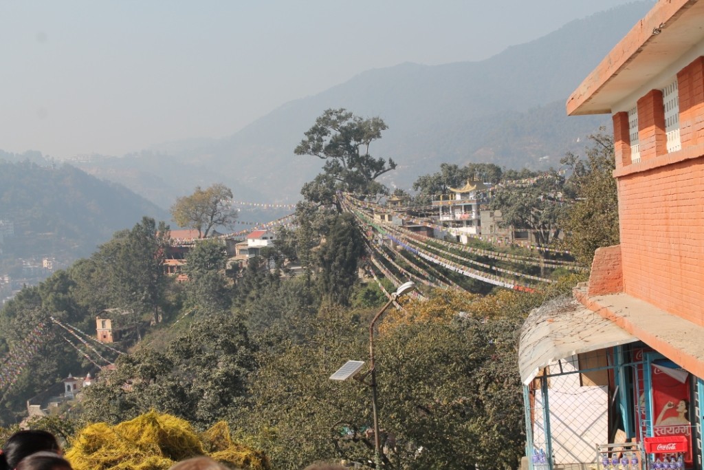 Blick von der Stupa auf den Manjushri Hügel.